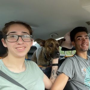 Meet your Posher, Riley